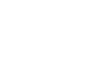 ikona
