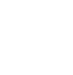 ikona
