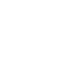 ikona
